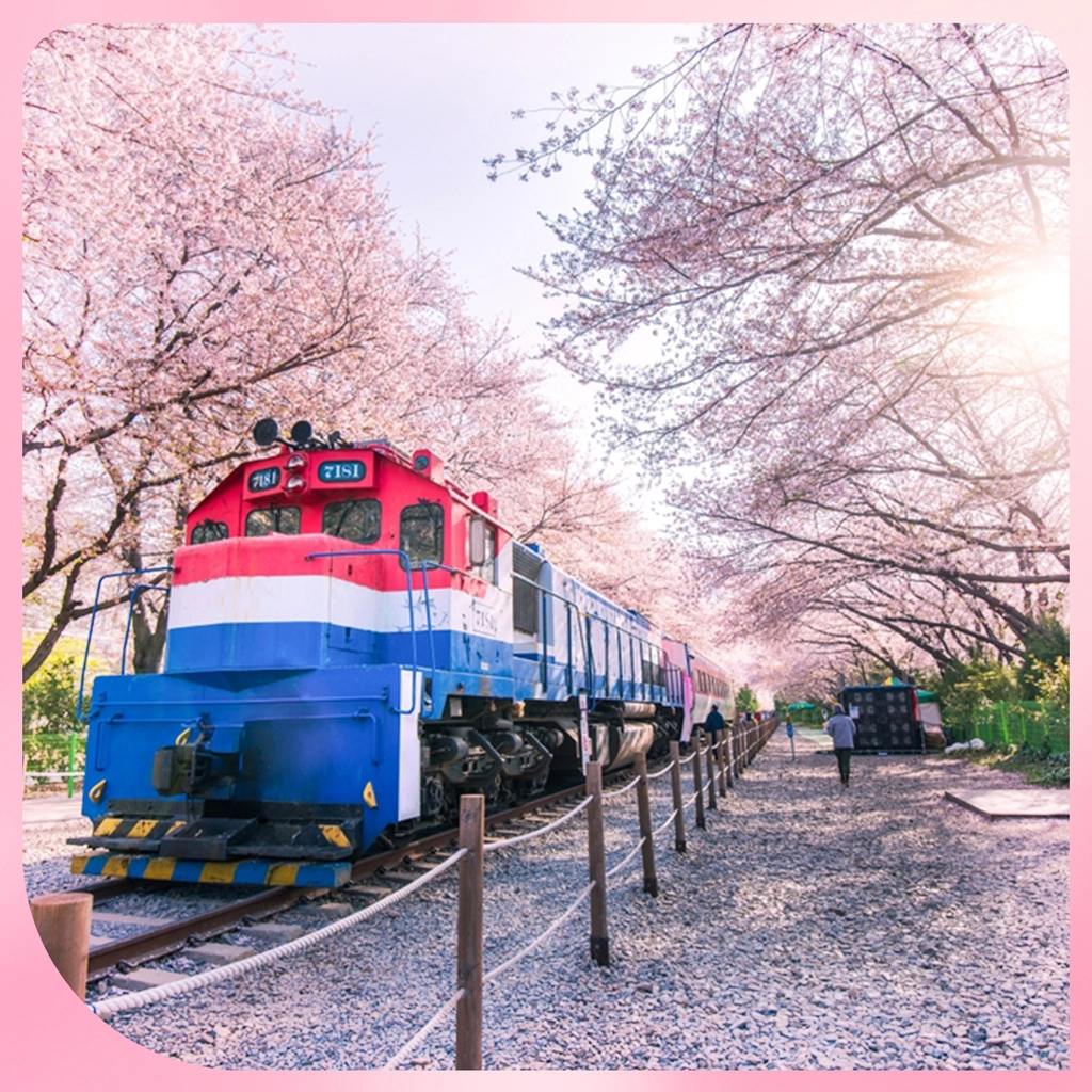 MÙA HOA ANH ĐÀO HÀN QUỐC: SEOUL - NAMI – EVERLAND - 5N4D (Aero K)