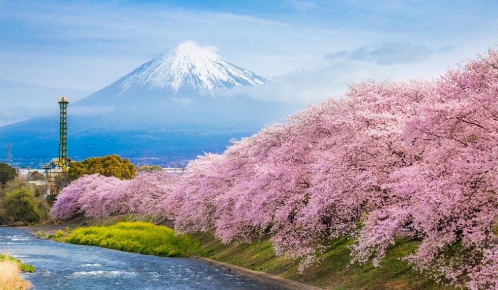 NHẬT BẢN CUNG ĐƯỜNG VÀNG & NGẮM HOA ANH ĐÀO: TOKYO - PHÚ SĨ - NAGOYA - KYOTO - OSAKA