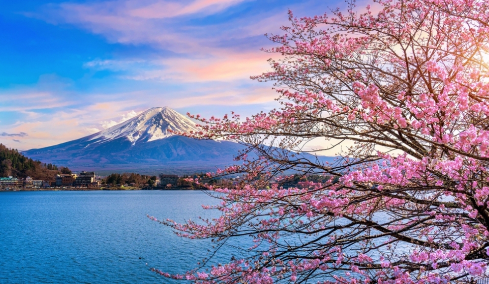 NHẬT BẢN CUNG ĐƯỜNG VÀNG & NGẮM HOA ANH ĐÀO: TOKYO - PHÚ SĨ - NAGOYA - KYOTO - OSAKA