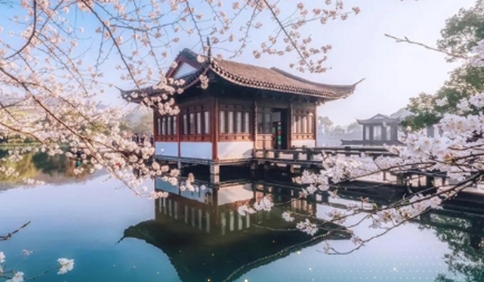 Đà Nẵng - Thượng Hải - Ô Trấn - Hàng Châu