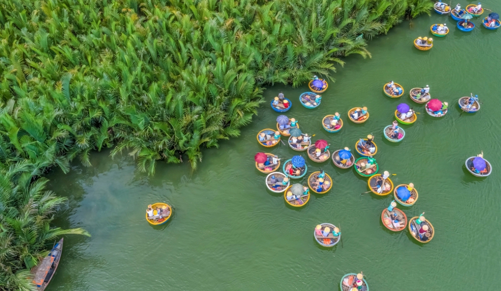 Daily Tour - Rừng dừa 7 mẫu