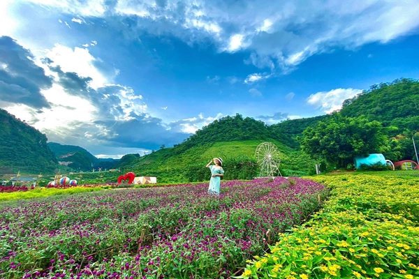 Tour Mộc Châu – Cầu Kính Bạch Long 2N1Đ (Homestay)