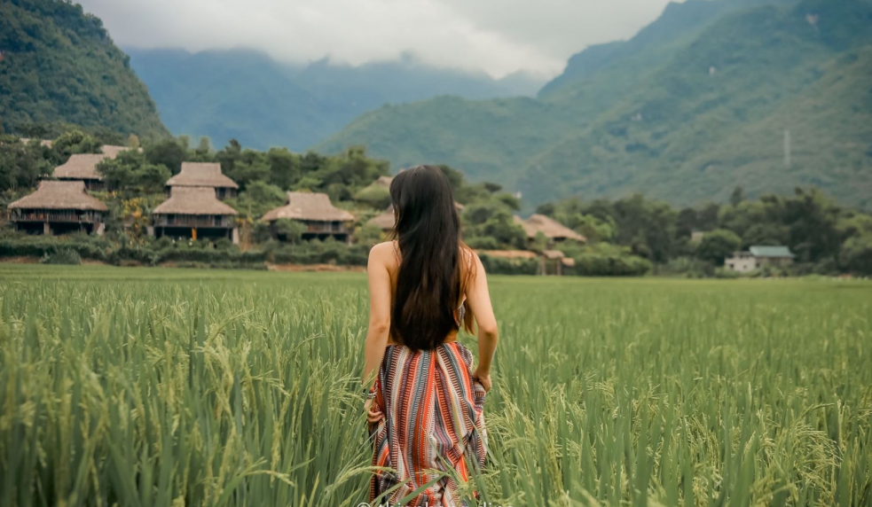 Tour Mai Châu – Mộc Châu – Cầu Kính Bạch Long 2N1Đ (Homestay)